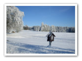 Winterlandschft am Rennsteig