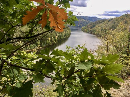Thüringer Meer Blick auf einen Fluss umgeben von Bäumen und farbigen herbstlichen Blättern.