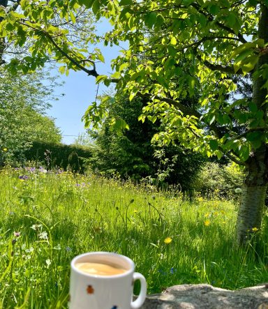 Tasse mit Getränk vor einer blühenden Wiese und einem grünen Baum unter blauem Himmel.