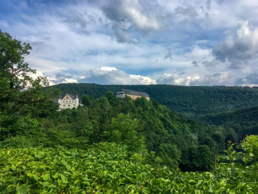 Schloss Schwarzburg Blick auf eine bewaldete Landschaft mit einem Schloss auf einem Hügel unter bewölktem Himmel.