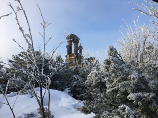 Fürst-Karl-Günther Denkmal Eingefrorene Bäume mit einem hohen Turm im Hintergrund unter klarem Himmel.
