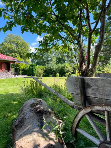 Holzrad mit Pflanze im Vordergrund, Garten und rotes Haus im Hintergrund.