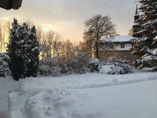 Schneebedeckte Landschaft mit Bäumen und einem Haus im Hintergrund bei Sonnenaufgang.