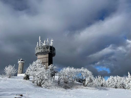Der Schneekopf Schneebedeckte Landschaft mit einem Aussichtsturm unter einem bewölkten Himmel.
