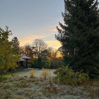 Frostbedeckte Landschaft mit Bäumen und einem Sonnenaufgang im Hintergrund.