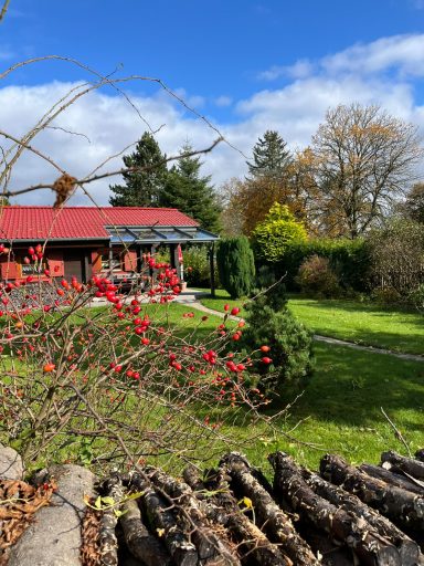 Ein Garten mit einem roten Haus, bunten Pflanzen und einem Holzstapel im Vordergrund.